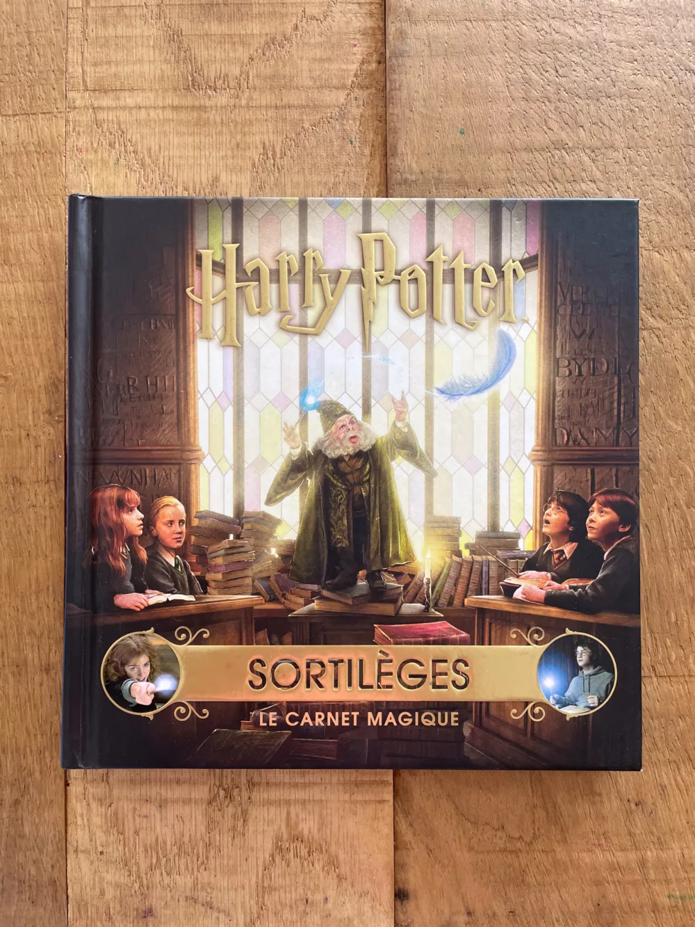 Harry Potter Sortilèges le carnet magique