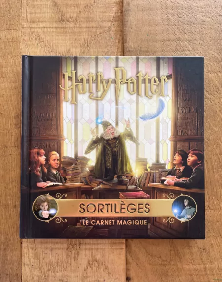 Harry Potter Sortilèges le carnet magique