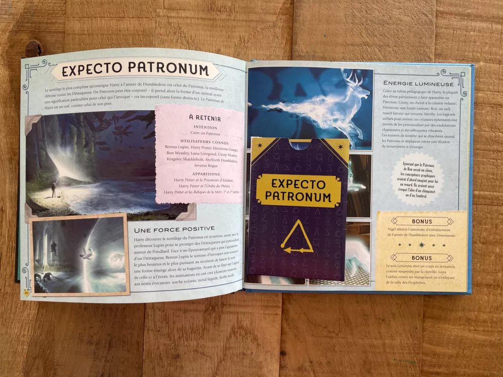 Harry Potter Sortilèges le carnet magique - page intérieure